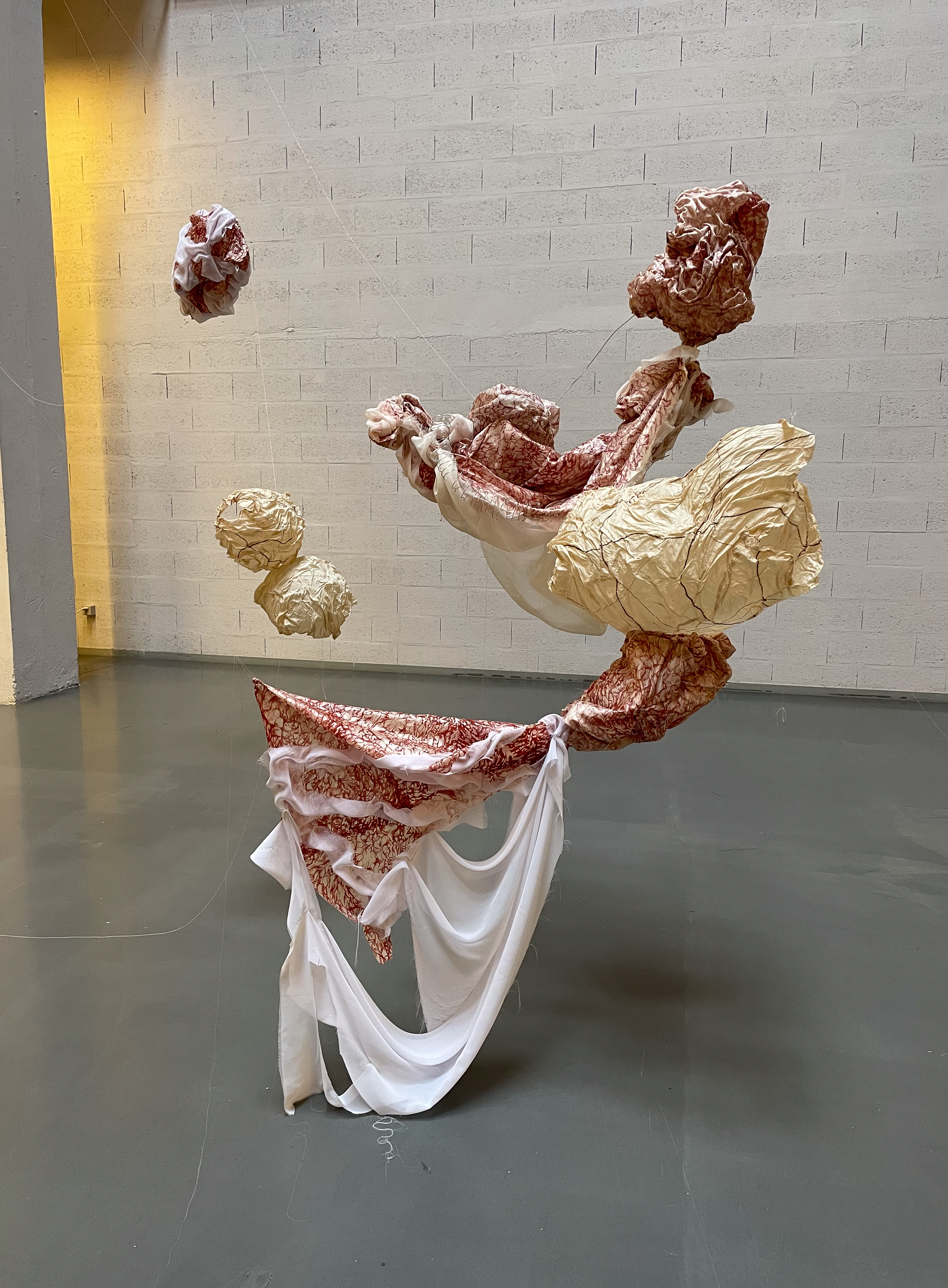 Honte Excitante_ECAL_de Roquemaurel Mayalène_2.jpg
