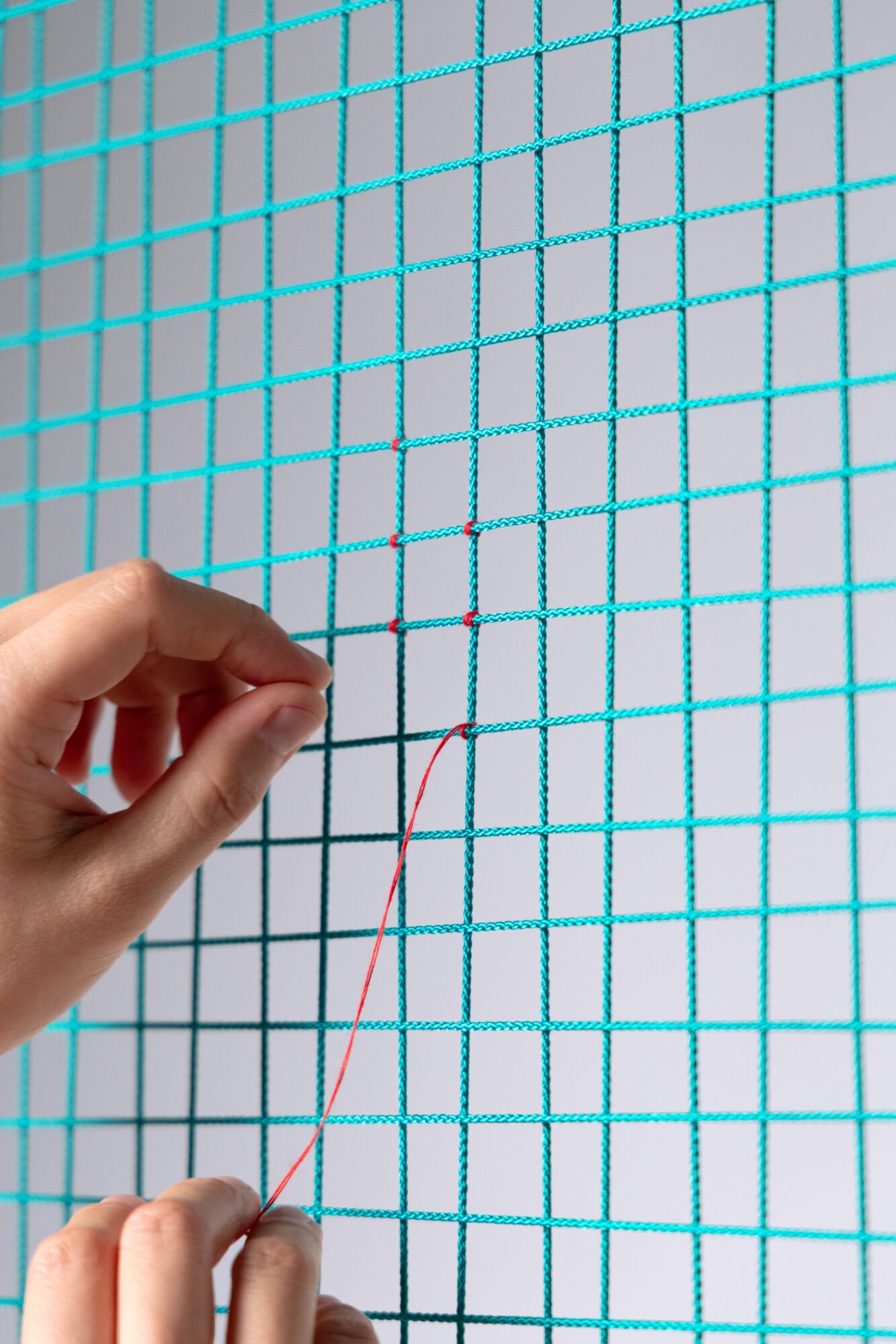 Line of support_Ecal_JaekyoungKim_5_compressed.jpeg