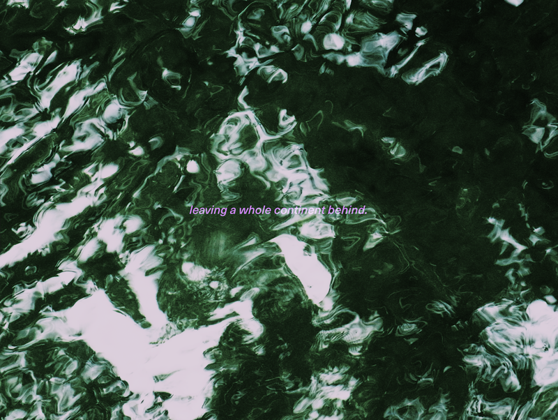 Camila Polania – Instructions of Rematriation
