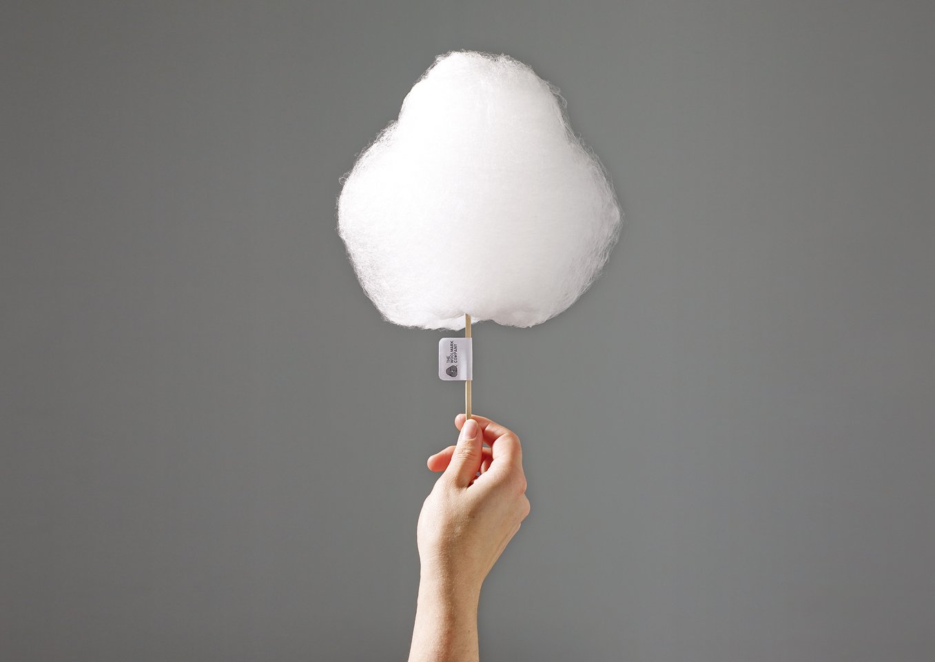 In Wool We Trust Projects ECAL