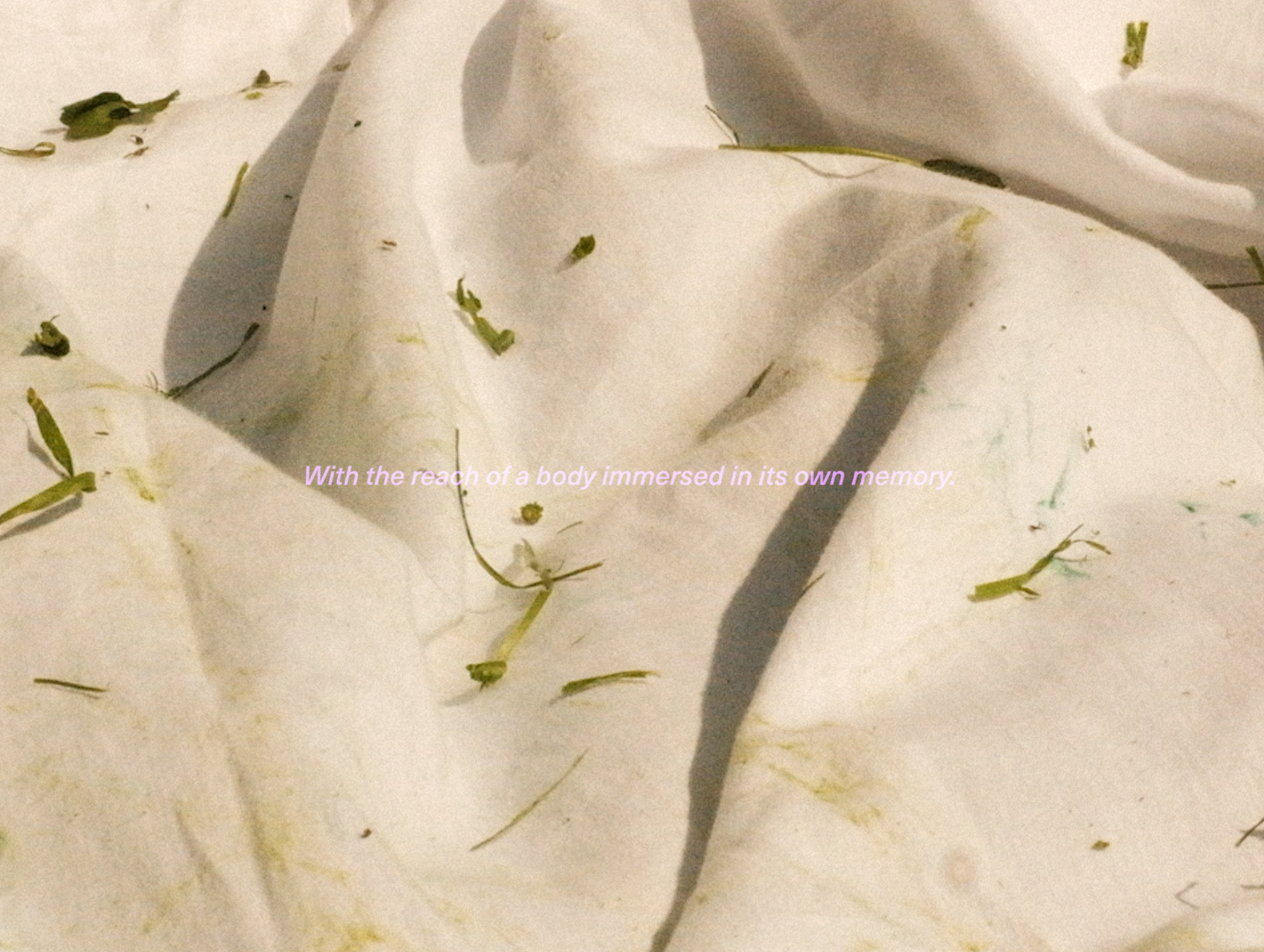 InstructionsOfRematriation_ECAL_CamilaPolania-1.png