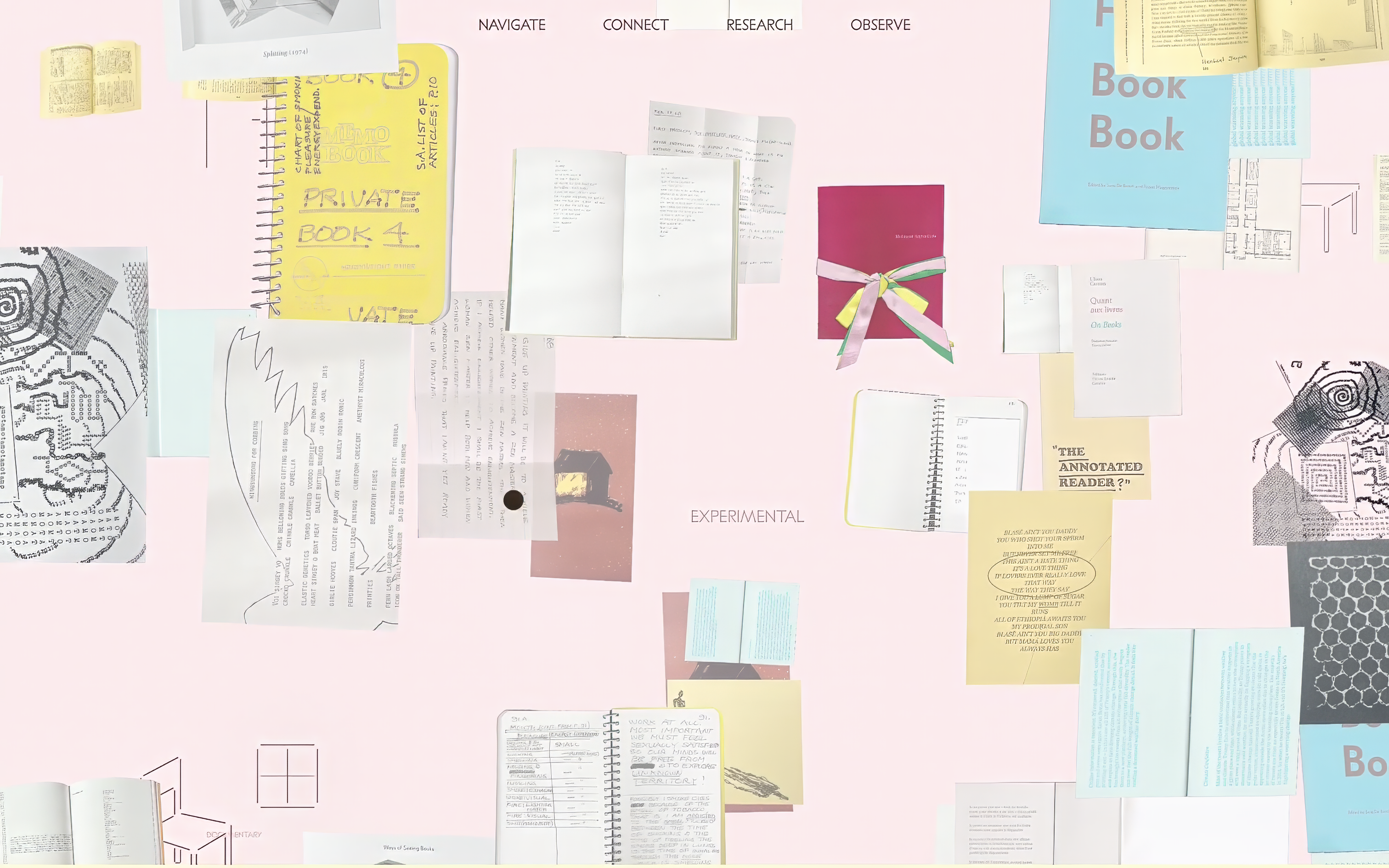 muller_emilie_librarynth_diplome_2025_3.png