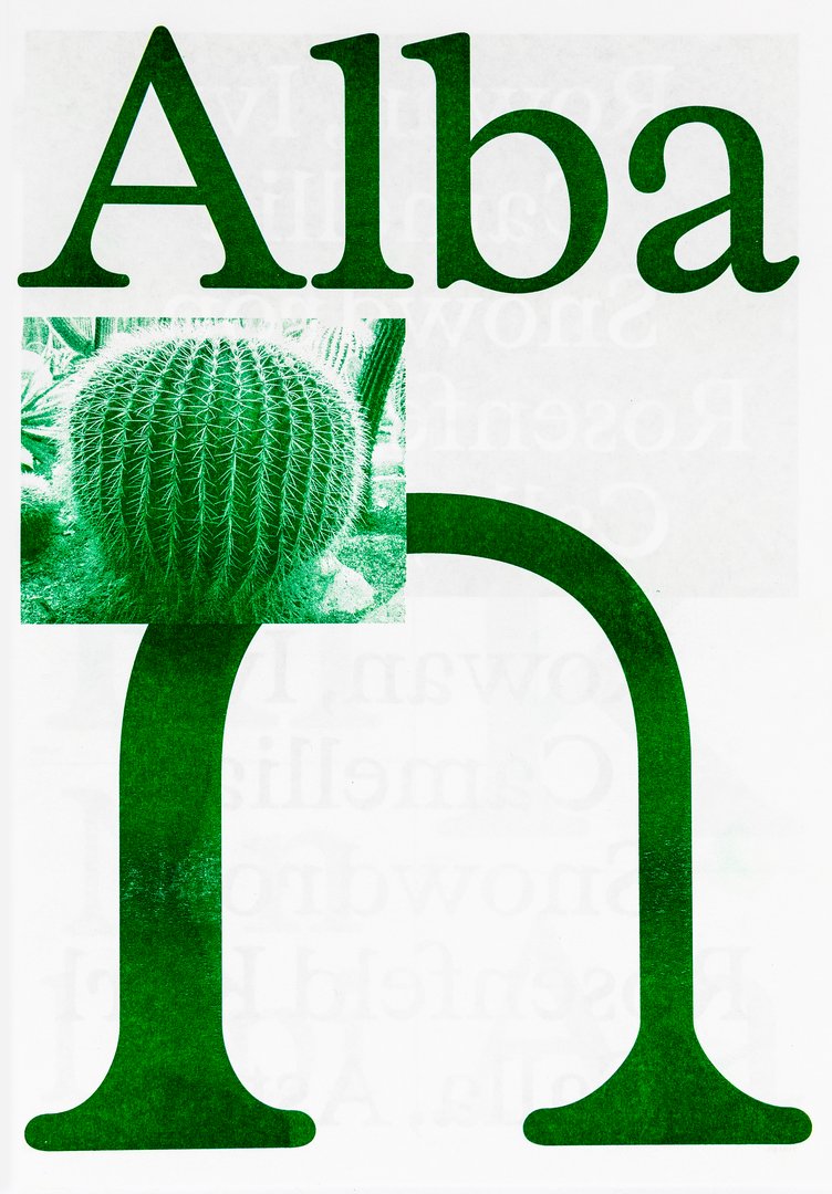 Design Typographique BA2 – S2 2026