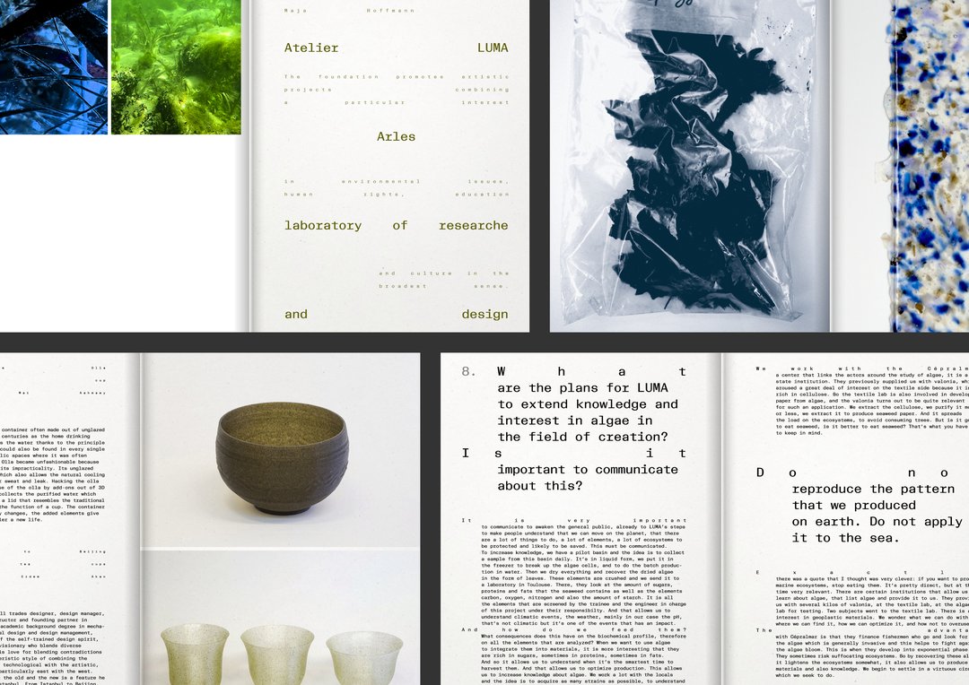 Mara Wohlfahrt – Algae in posterum