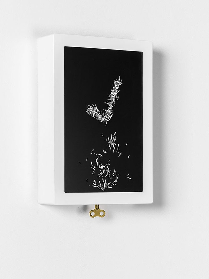 Pauline Saglio – Rewind