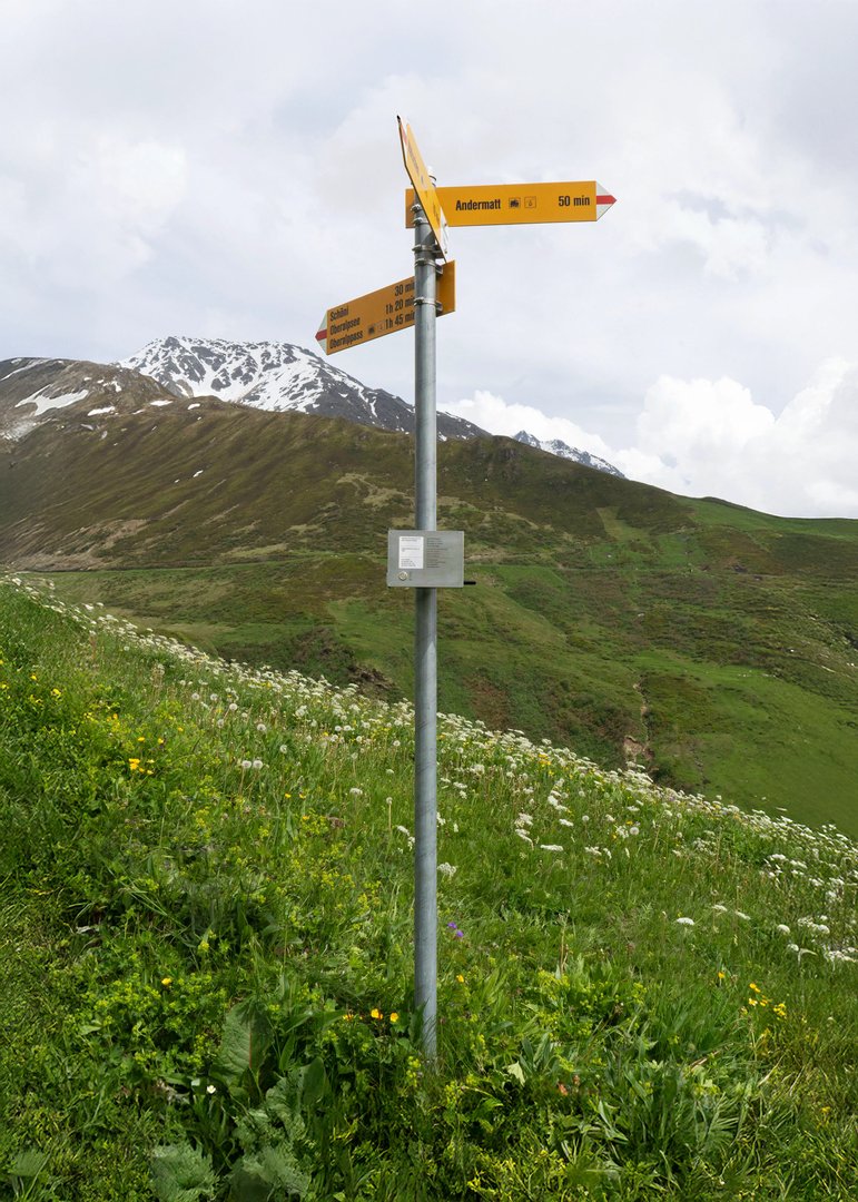 Livia Schmid – Trail Sync