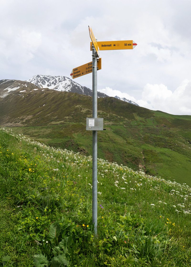 Livia Schmid – Trail Sync