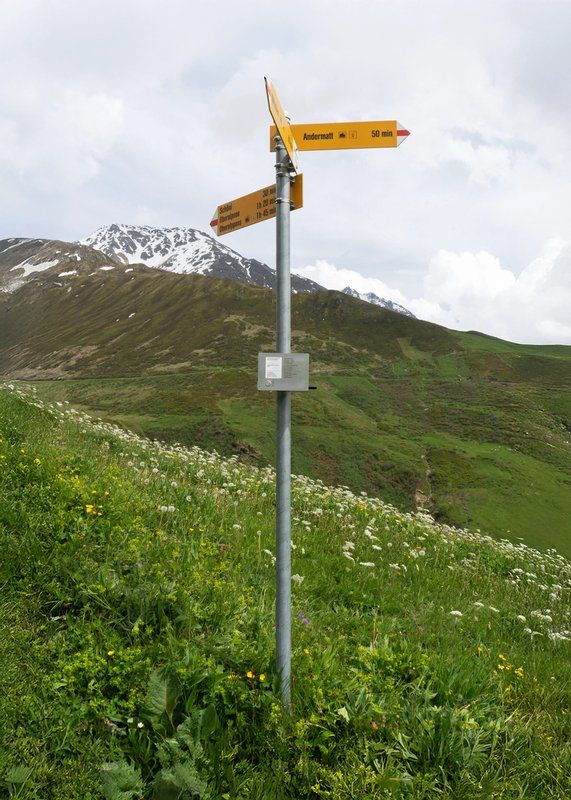 Livia Schmid – Trail Sync