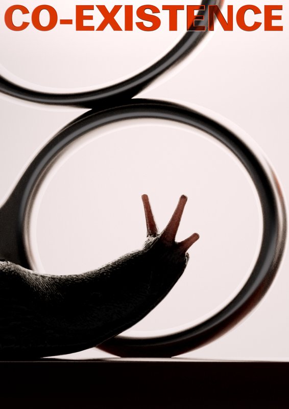 L'ECAL à Paris Photo: CO-EXISTENCE, 07–09.11.2024, Paris