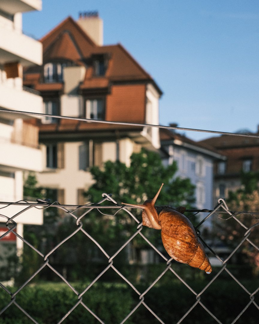 ECAL x SDOL : Horizon Ouest, Regards sur la métamorphose urbaine