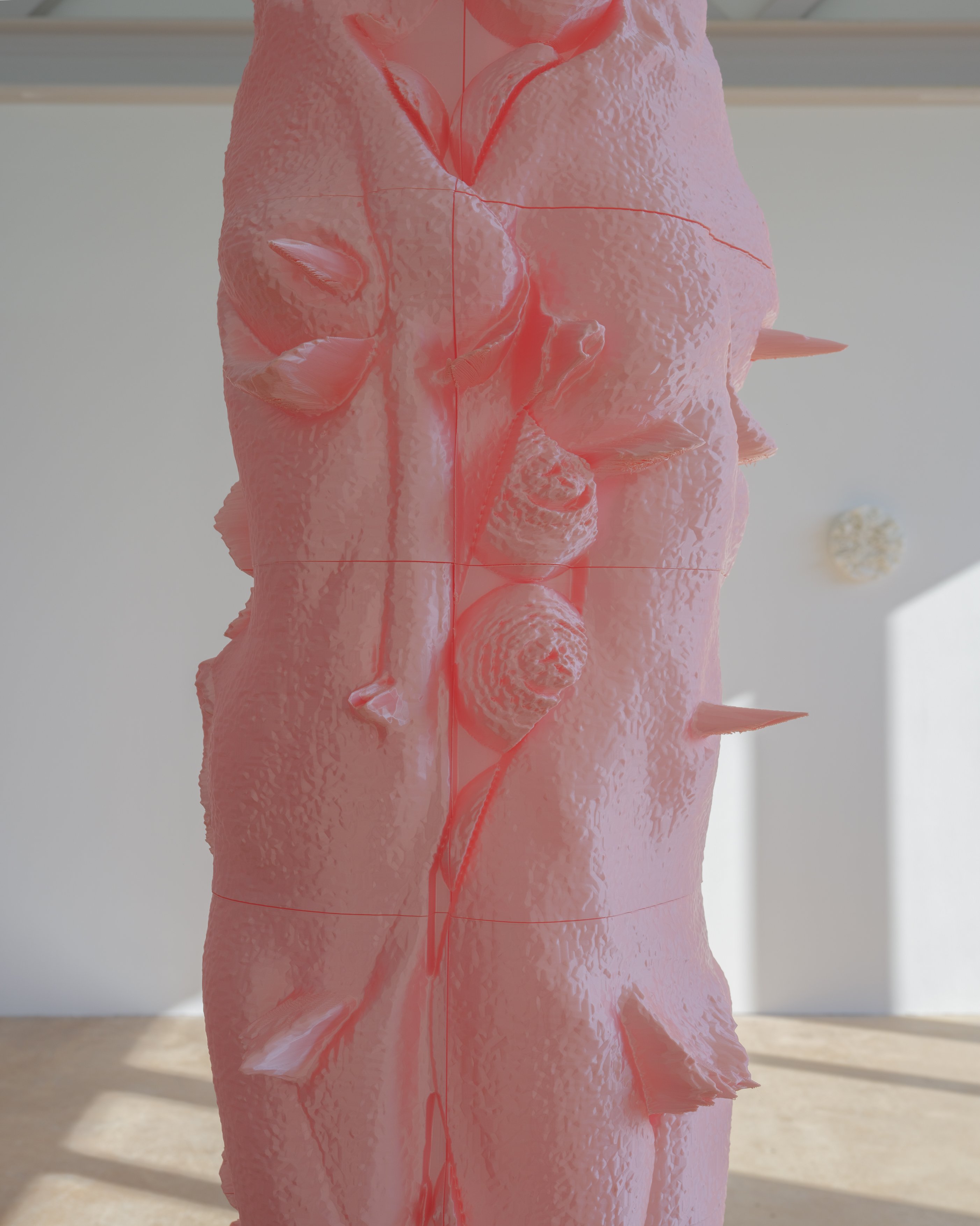 Pretty in Pink_ECAL_Francesca Bergamini_19.jpg
