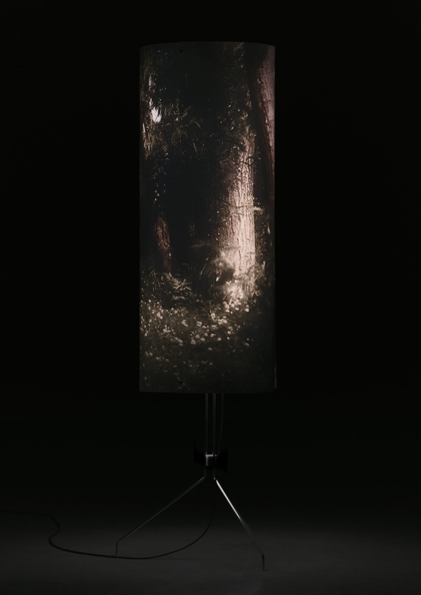 lightworks_ECAL_lee_ehrat_02_compressed.jpeg