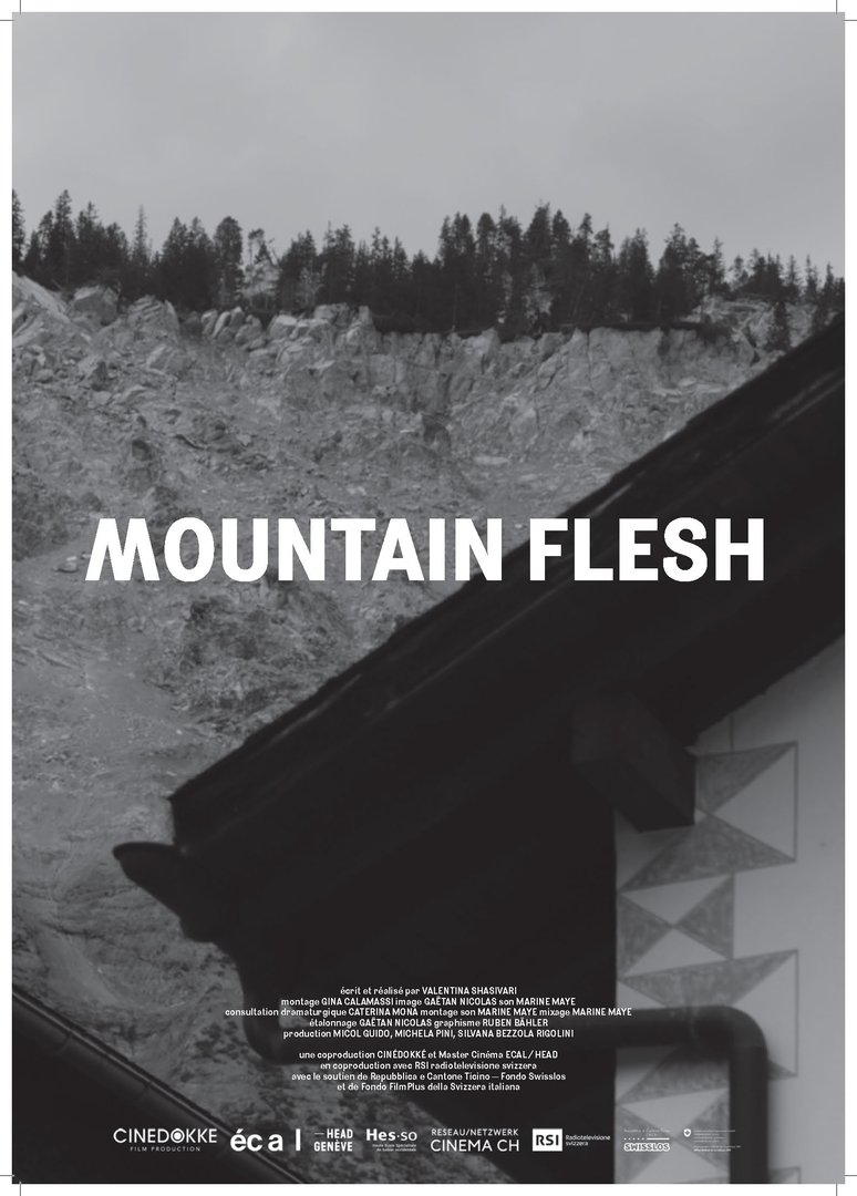 Valentina Shasivari – Mountain Flesh (Direction)