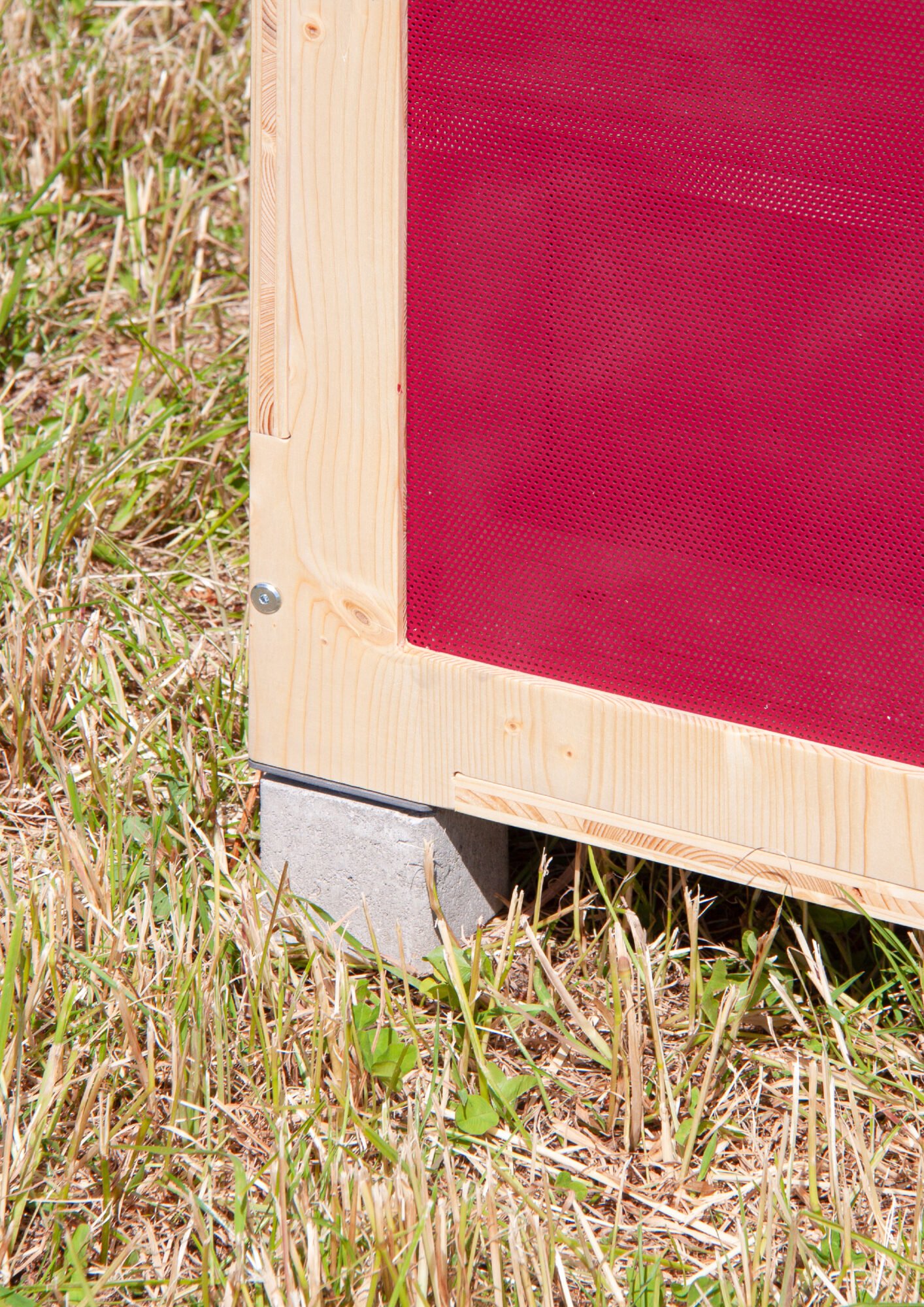 Rooster_ECAL_RicciRomain_4_compressed.jpeg