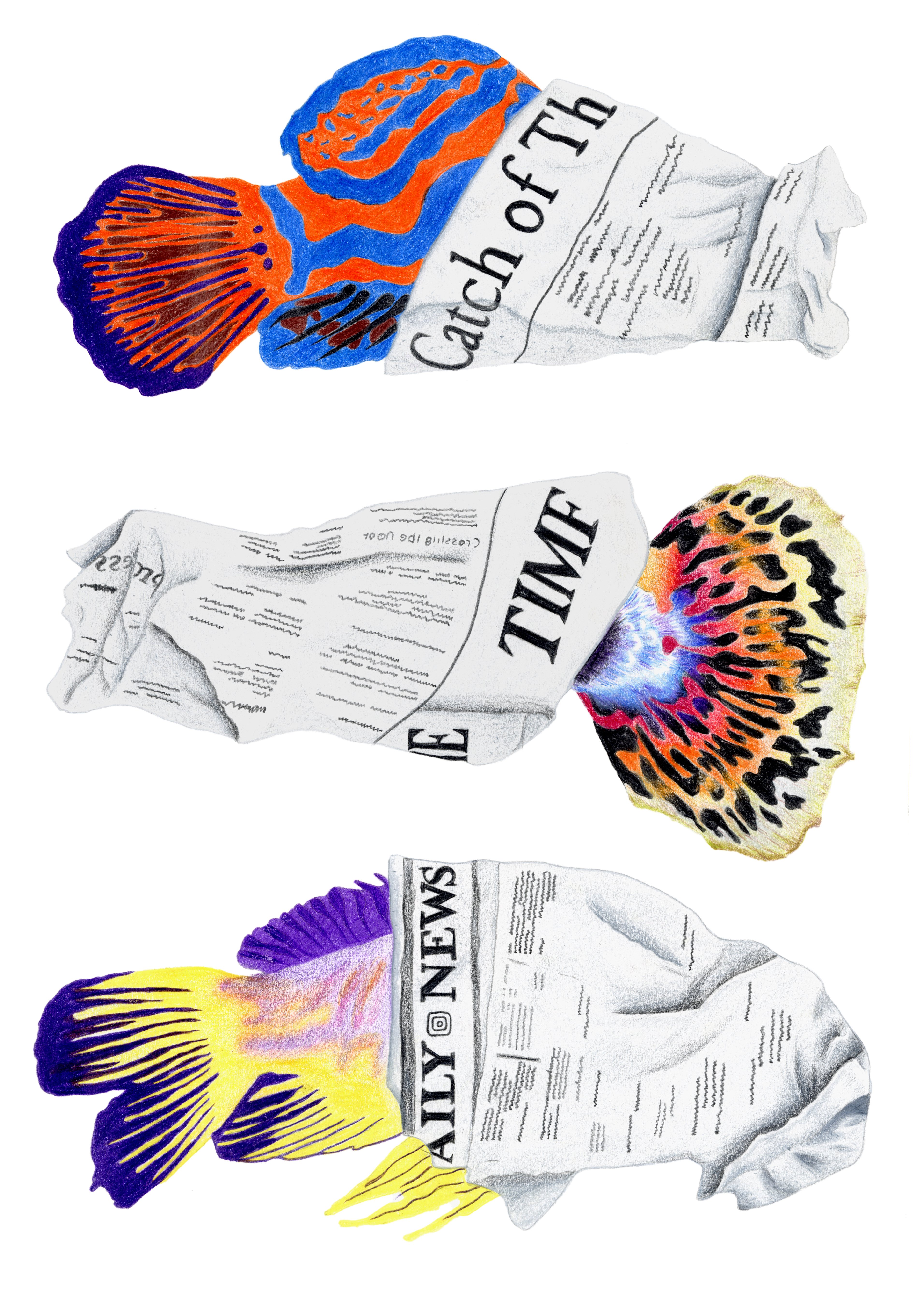 R-Clelia_Audemars_2B_DI_1_2 copie.jpg