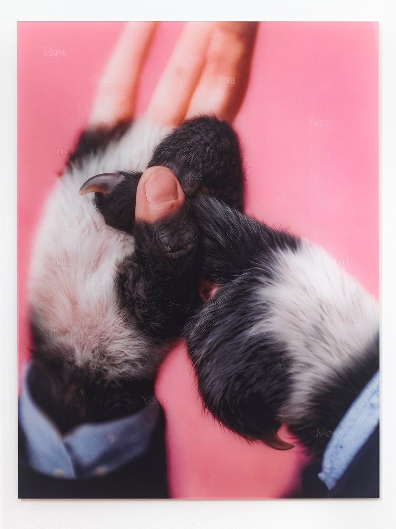 Xiao Fu – The Surrogate