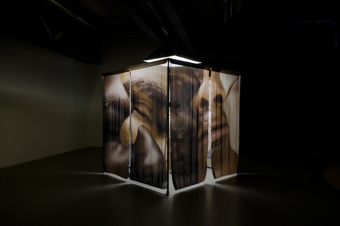 Robin Bervini – Until I Stop Trying to Get Out of My Skin