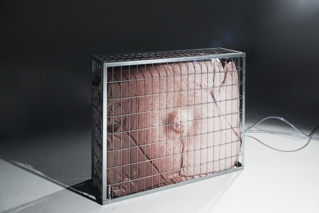Materialzed Photography - Automne 2022 - MAP2