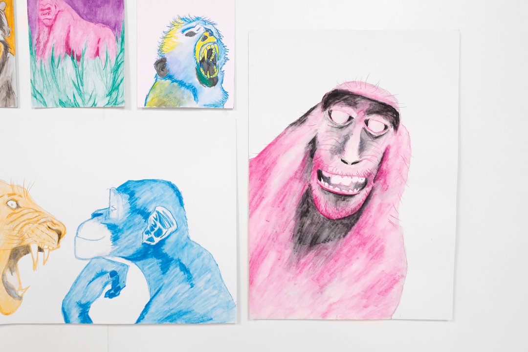 Color – 24–25