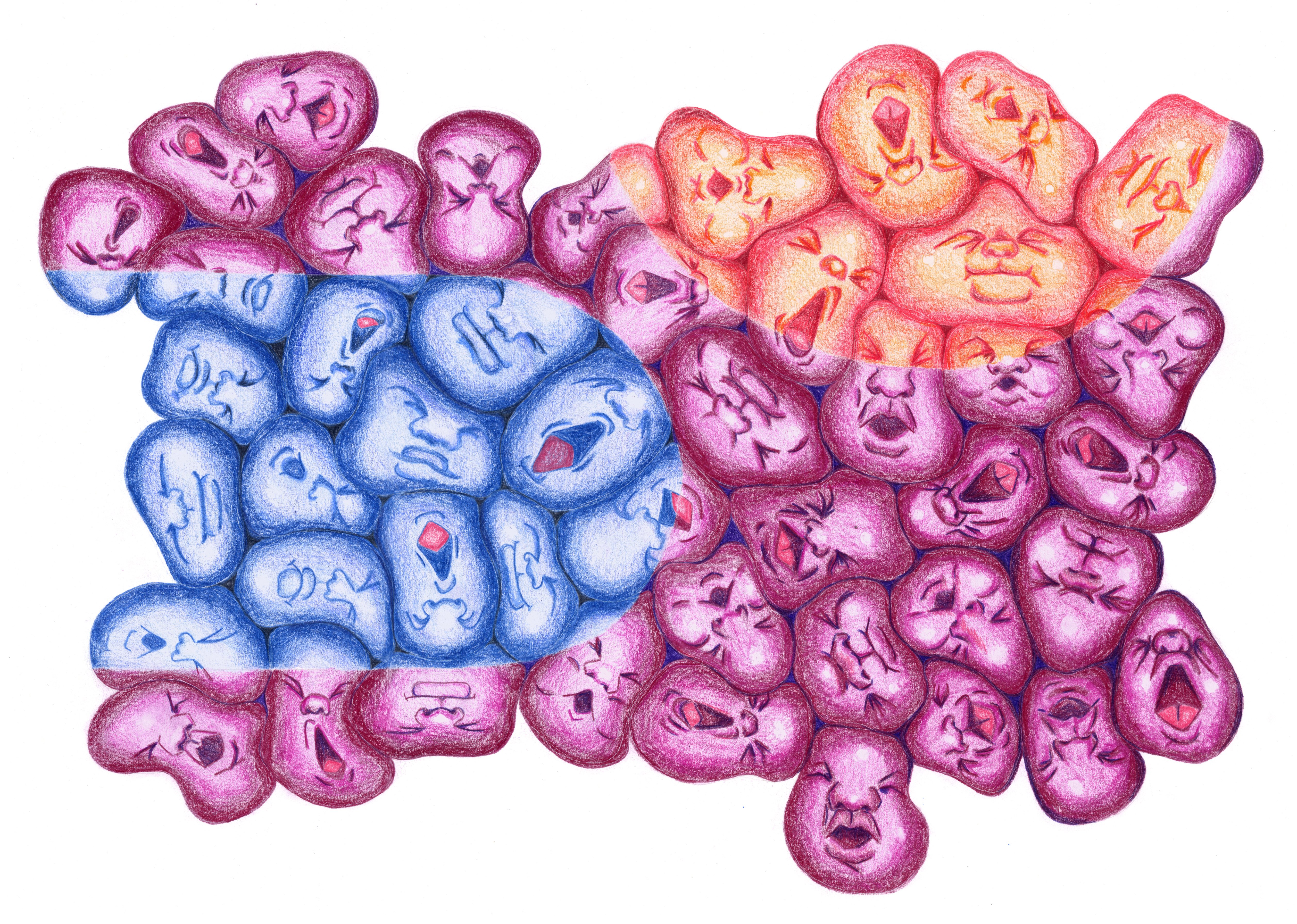 R-lili-marlo_fuchs_1b_AV07 copie.jpg