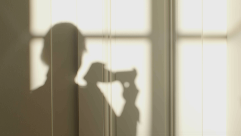 Création cinématographique – 2026