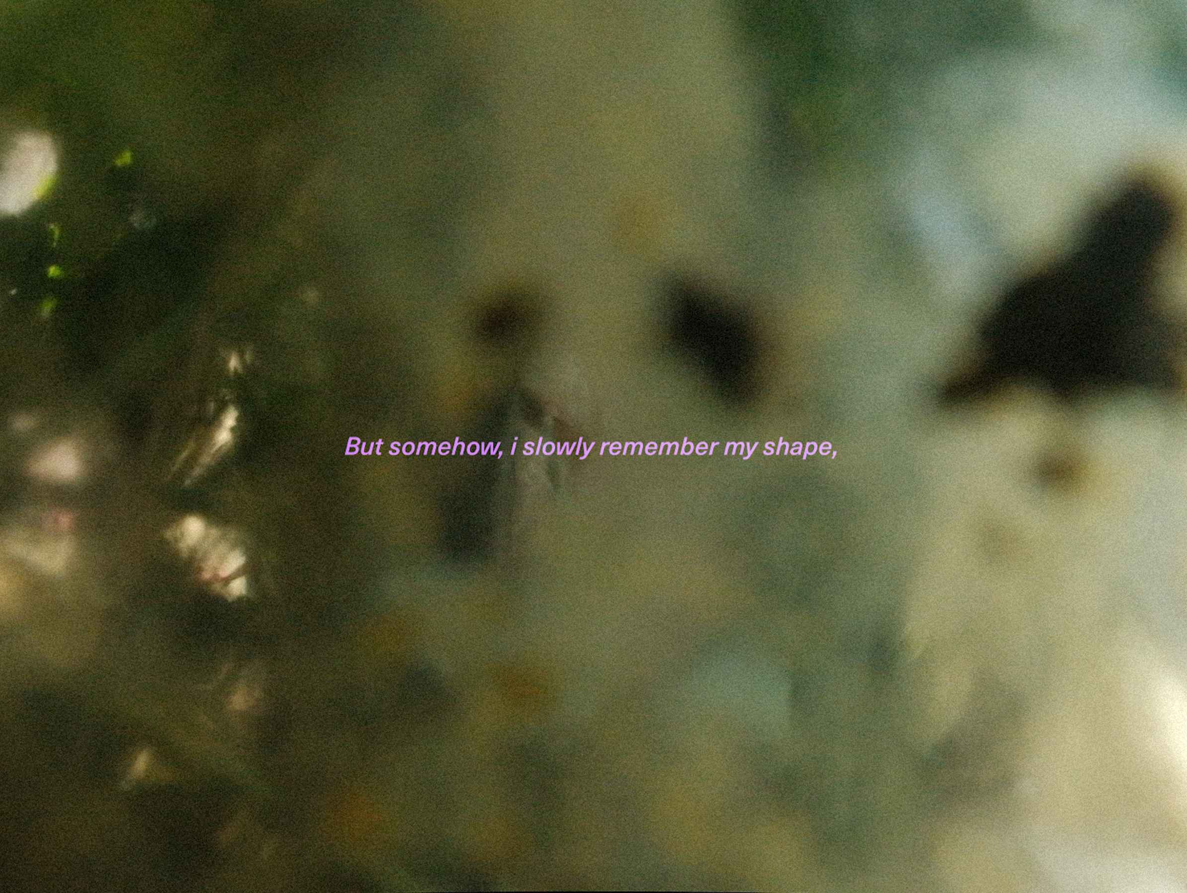 InstructionsOfRematriation_ECAL_CamilaPolania-3.png