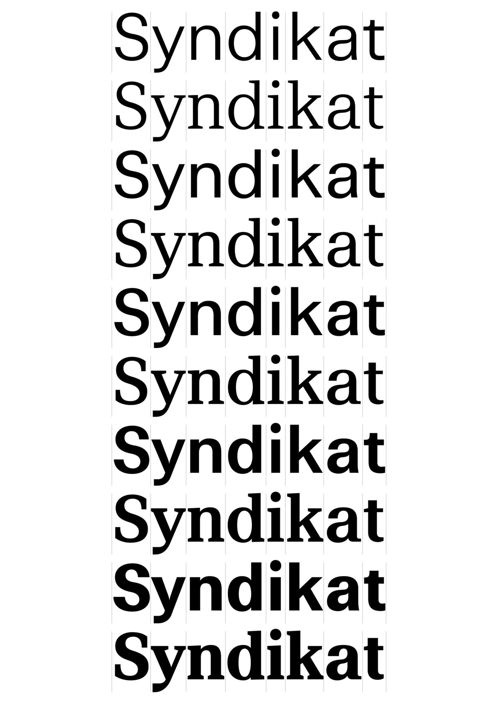 Syndikat