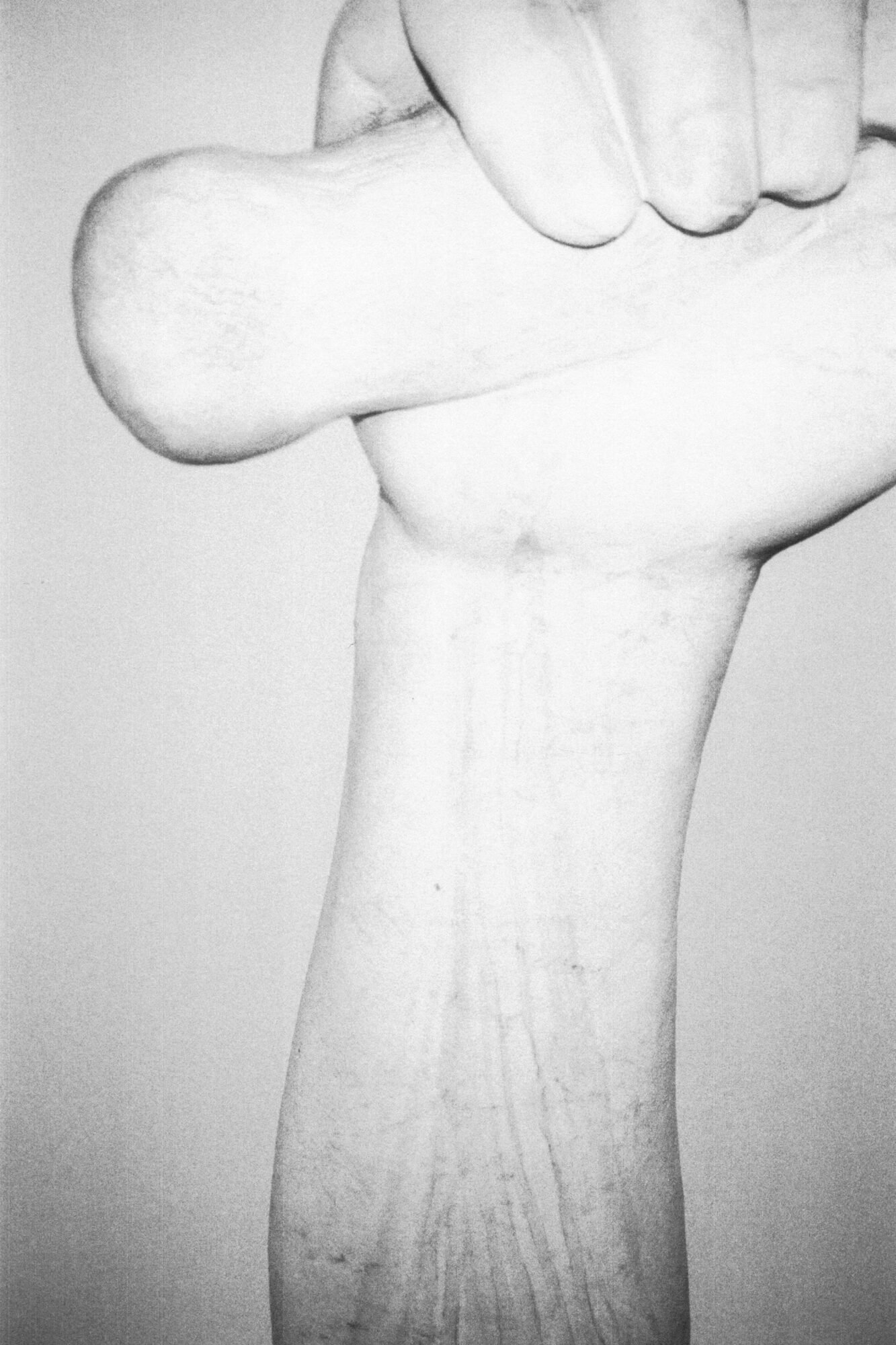 Still-still_ECAL_Vittorio-Franzolini_10_compressed.jpeg