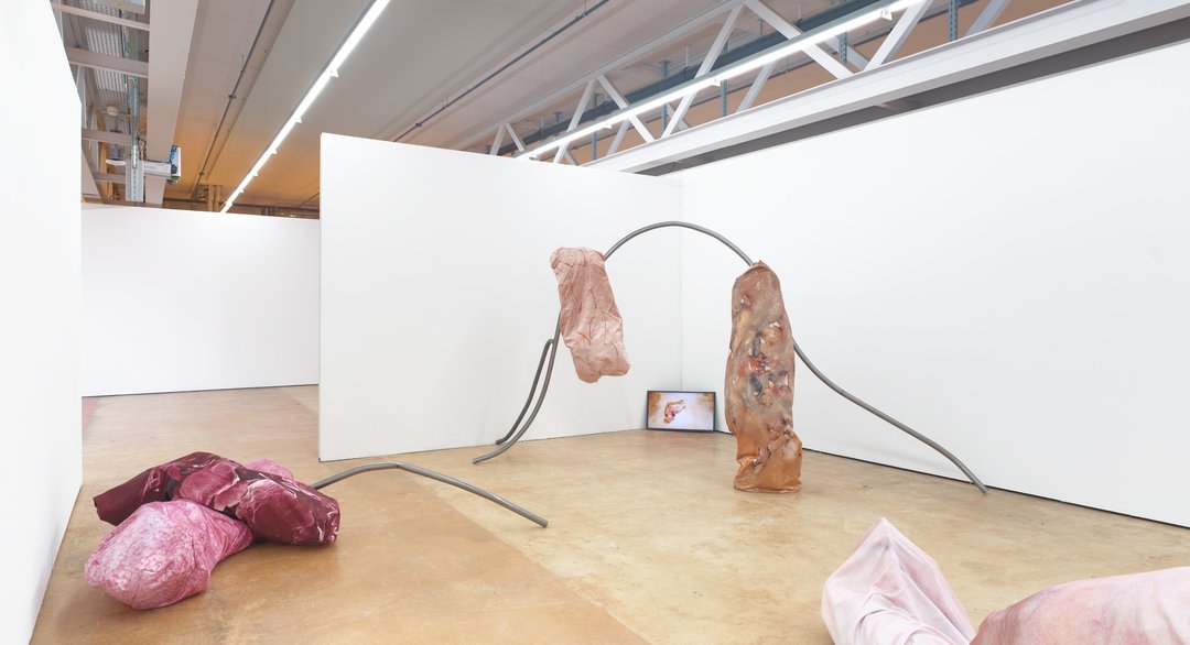 Joanna Wierzbicka – Nothing is connected to everything; everything is connected to something