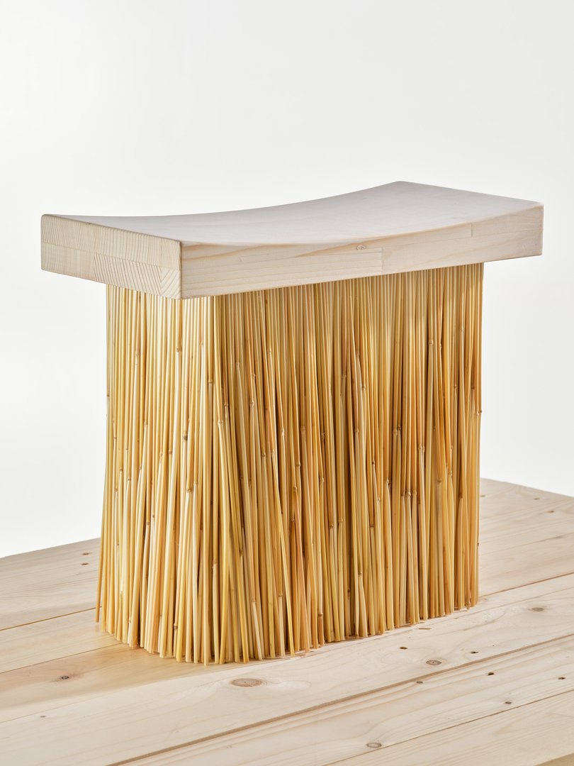 Lena Heinrich – Taxonomy of a straw bundle
