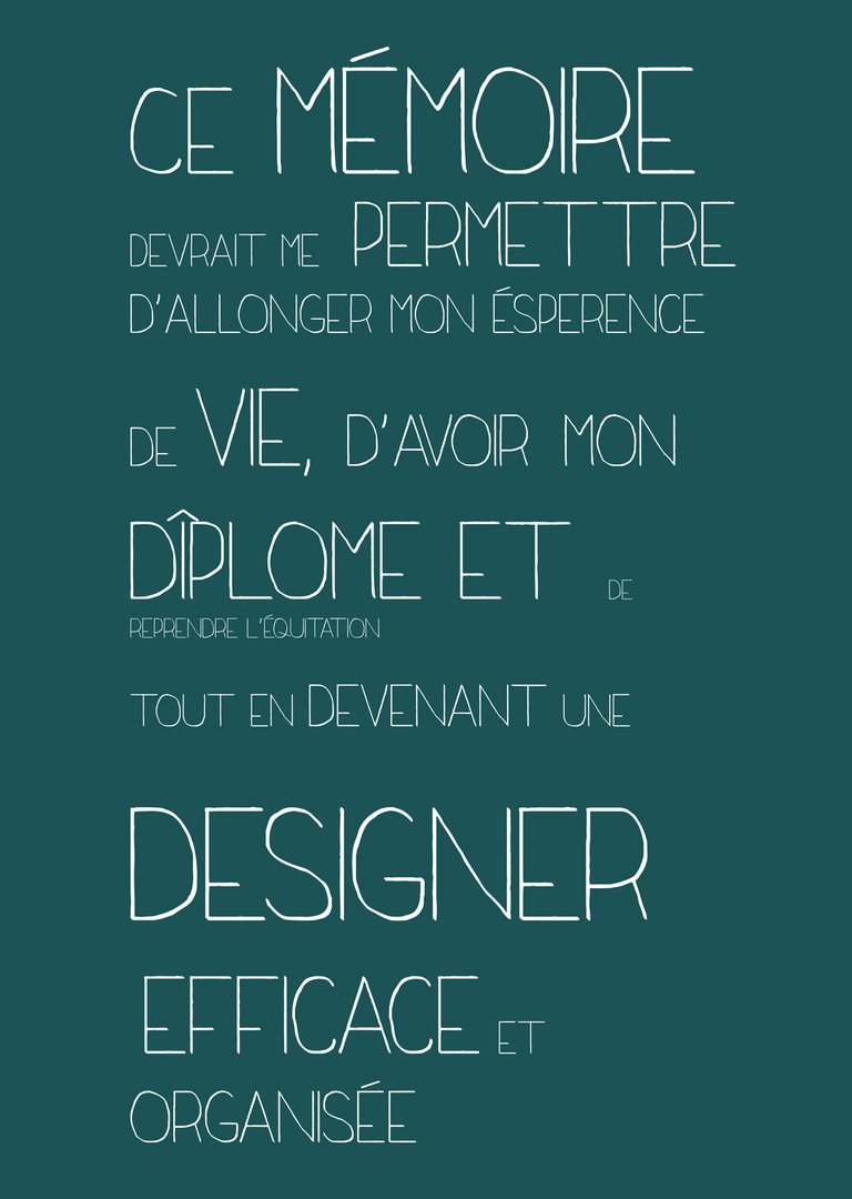 Camille Ringenbach – Mémoire