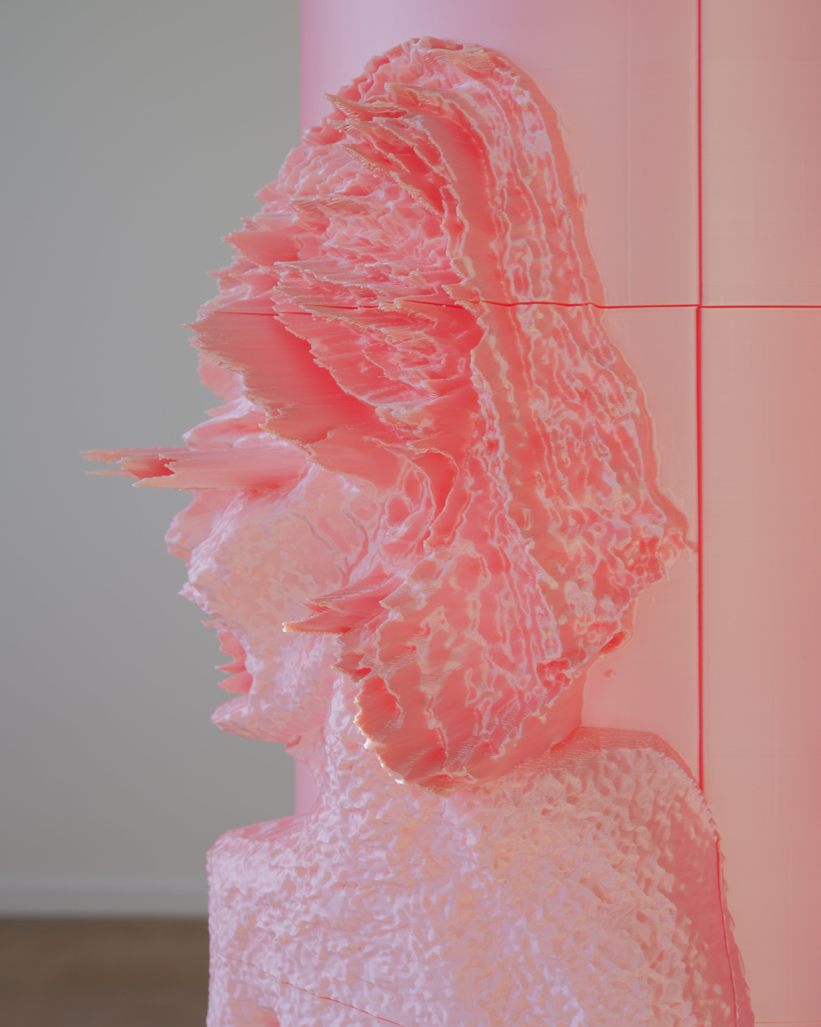 Pretty in Pink_ECAL_Francesca Bergamini_12.jpg