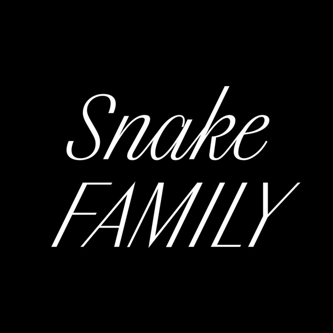 Arthur Schwarz – Snake Family