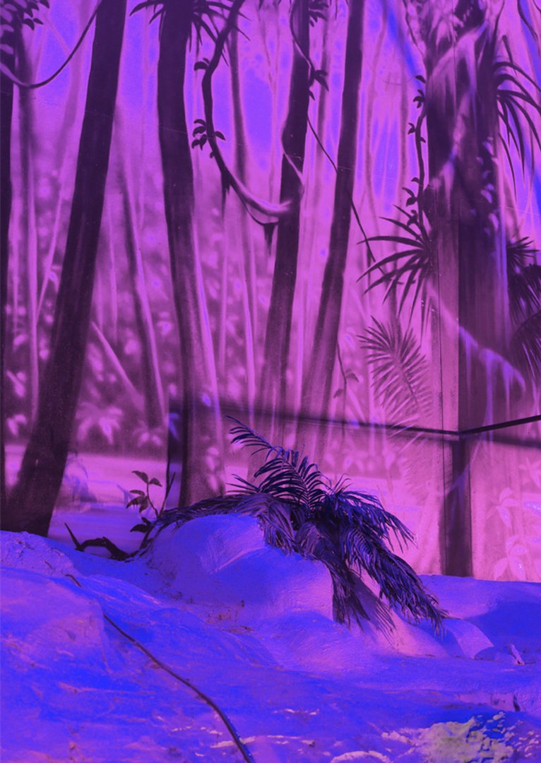 ECAL at the Nuit des Images