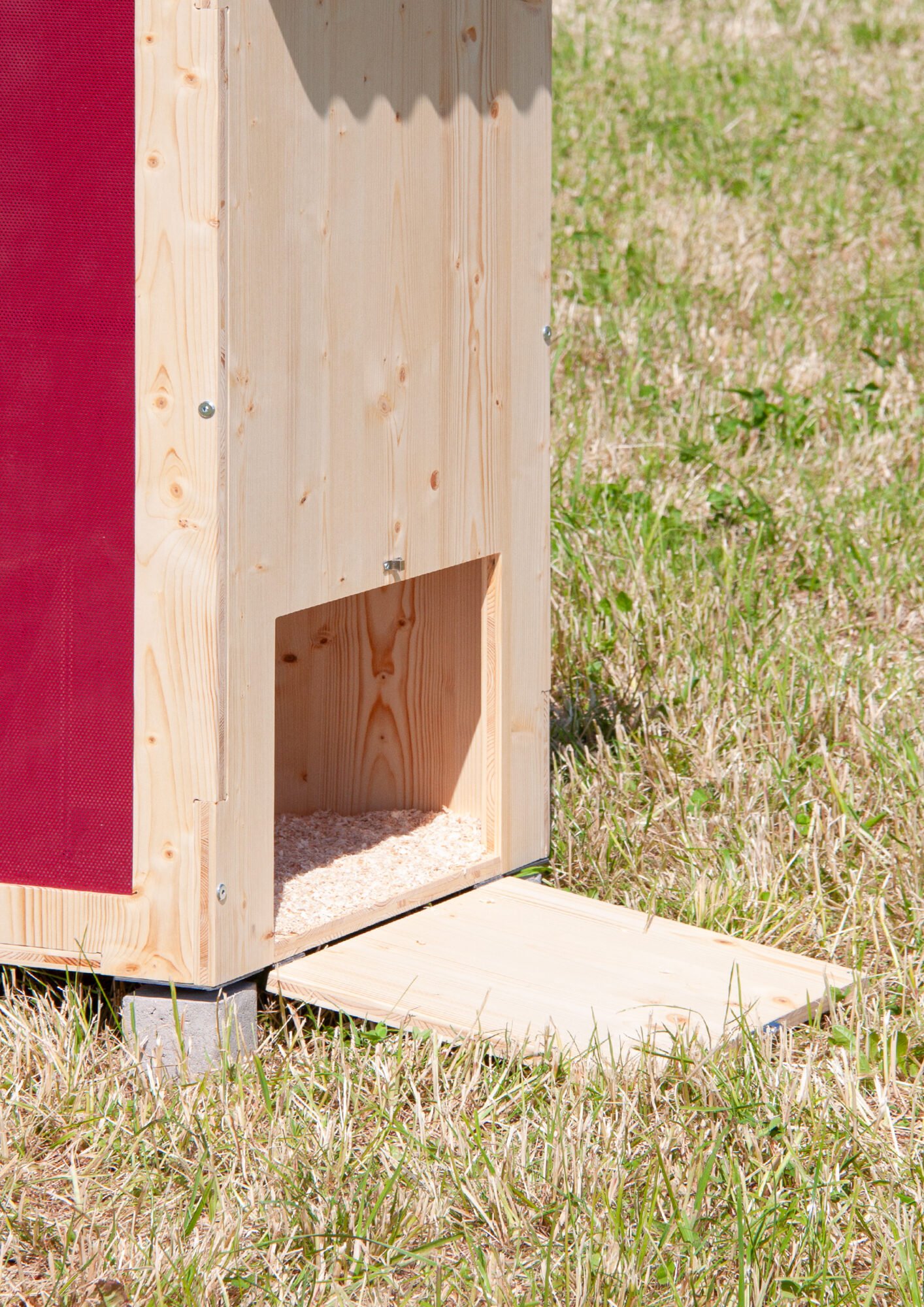 Rooster_ECAL_RicciRomain_3_compressed.jpeg