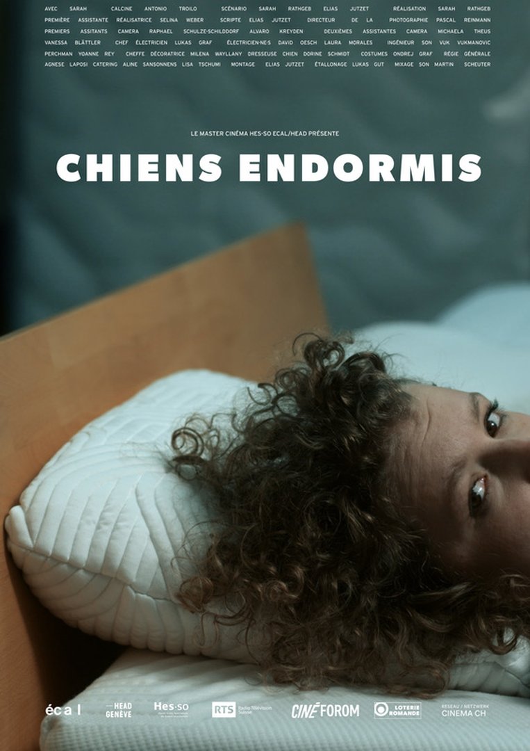 Sarah Rathgeb – Chiens endormis (réalisation)