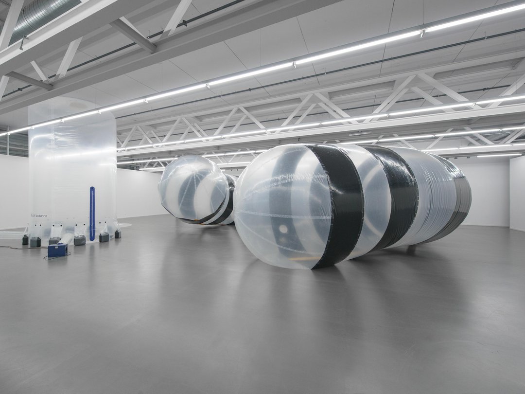 Exhibition «The Shape, the sound and the Space»