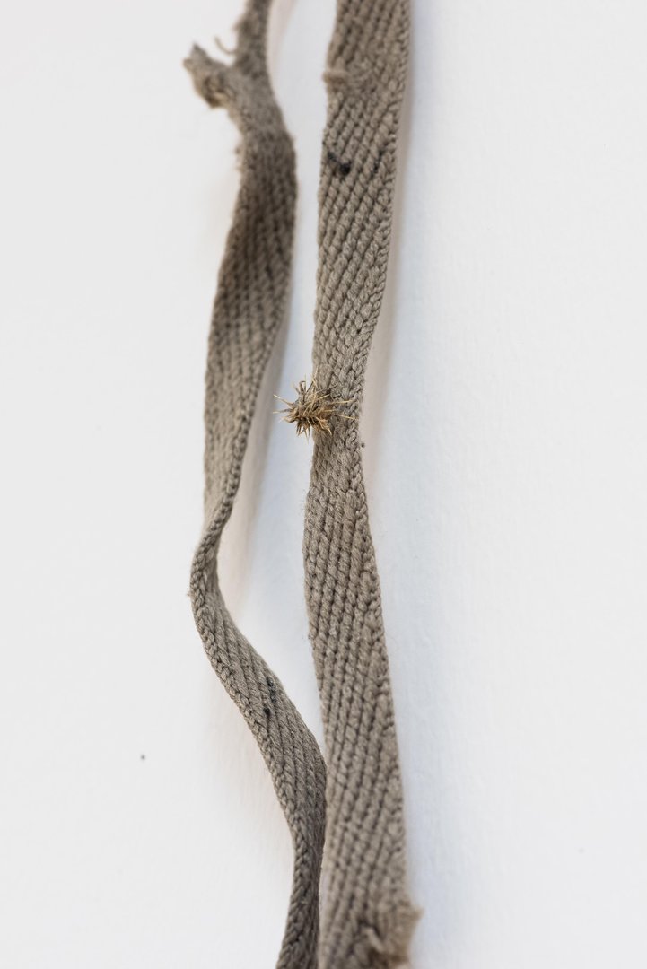 Projet d'atelier semestre 2015-16
