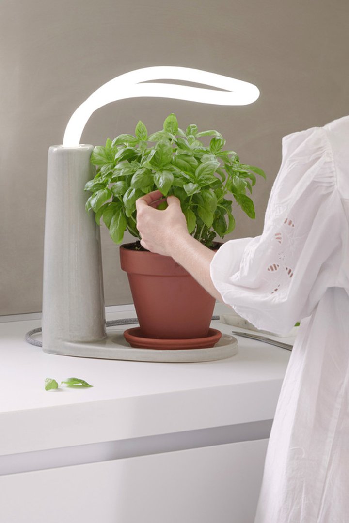 Alice Dermange – Culina Hortus