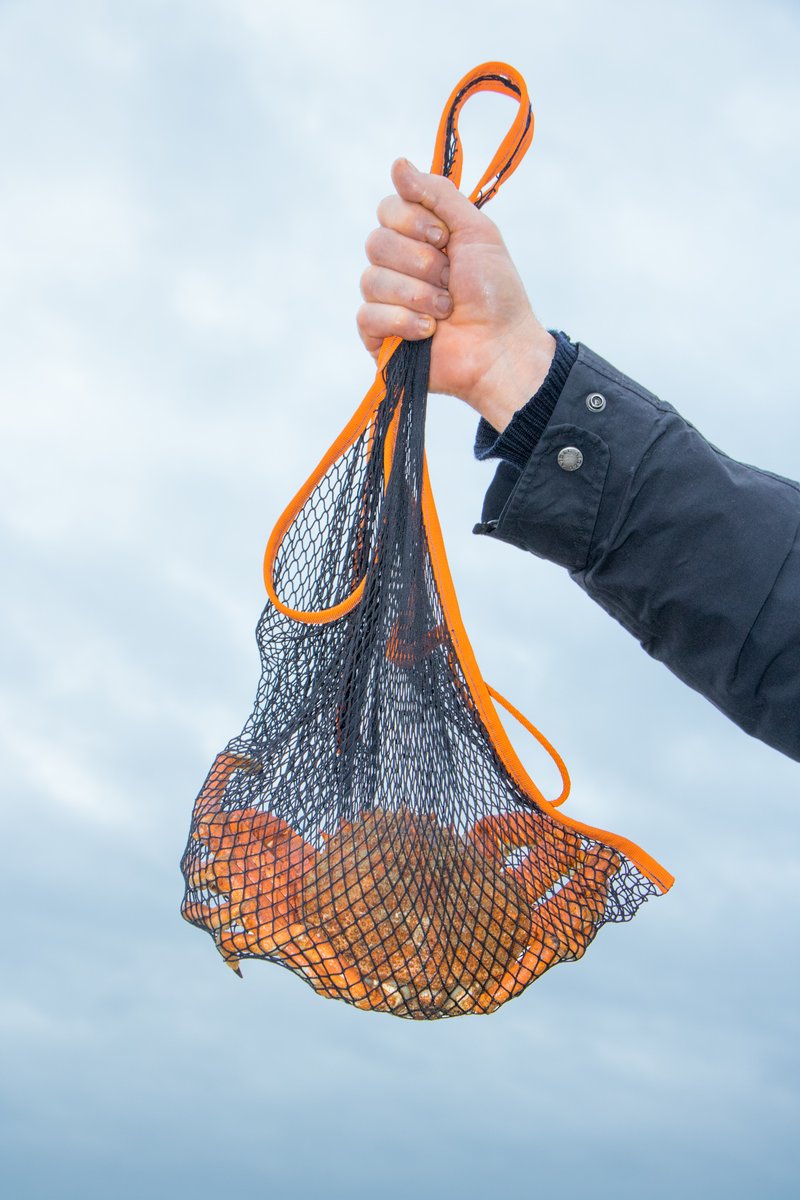 Bag It
