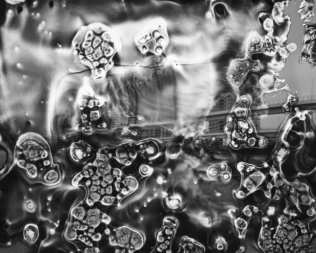 Chris Harker – Entangled Life