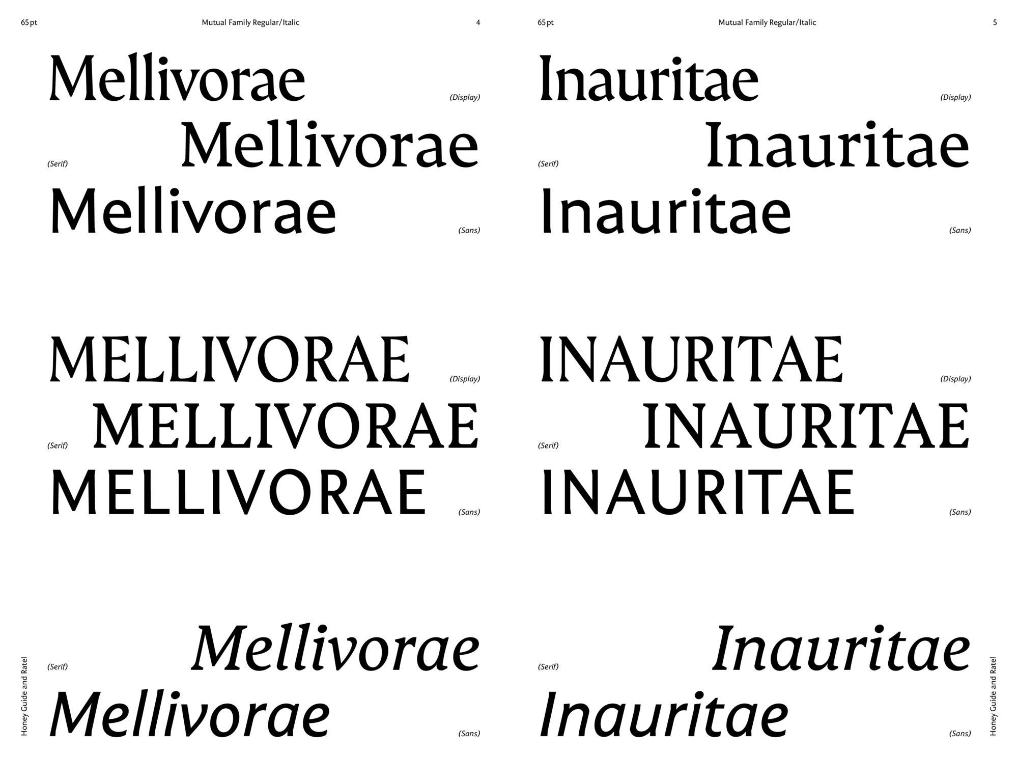 Mutual_ECAL_MaraNolze_2_compressed.jpeg