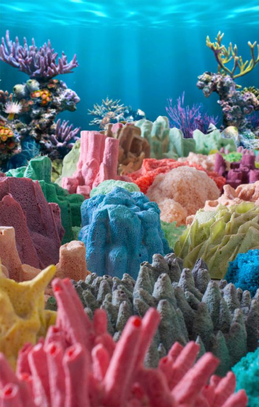 Three ECAL graduates in competition at Design Parade 9