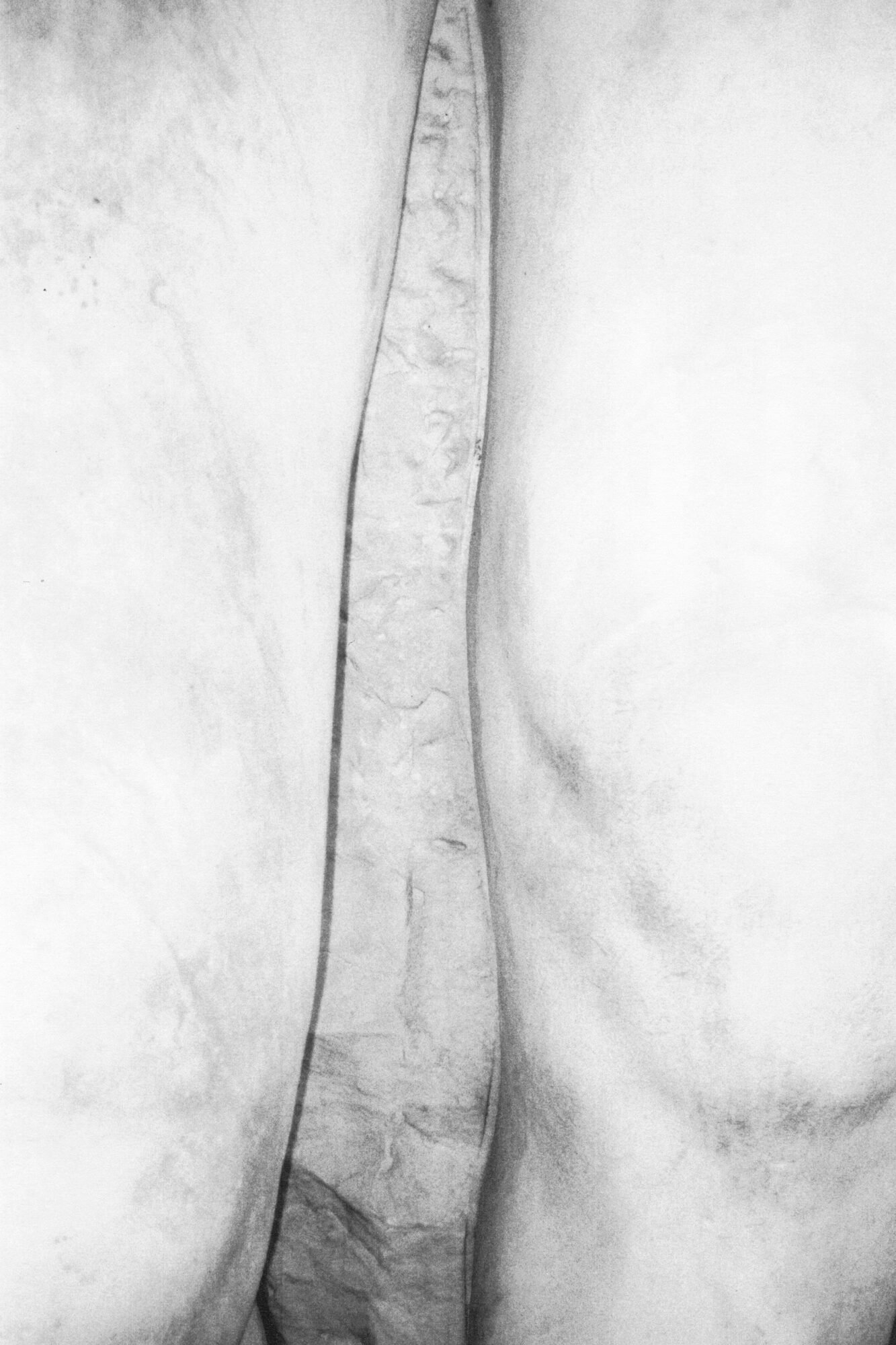 Still-still_ECAL_Vittorio-Franzolini_05_compressed.jpeg