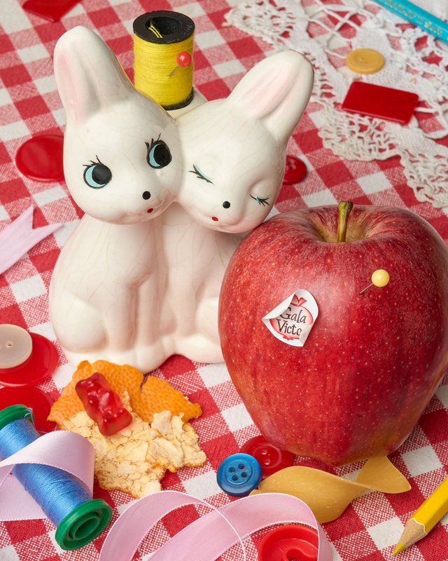 ECAL at Paris Photo: PAPERBOY ECAL,14.11.2025,Paris