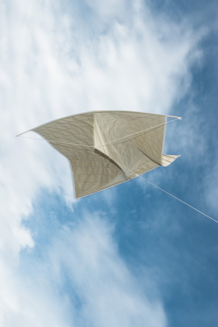 Fogo Island Plastic Free Kites