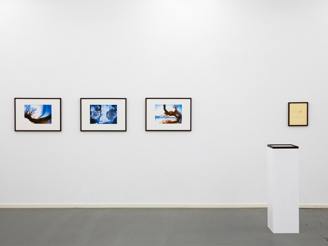 Cécile Polito – Visible Invisible