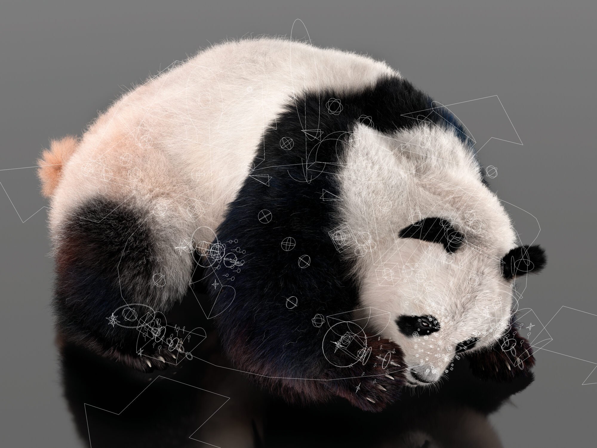 The surrogate_ECAL_Xiao Fu_2_compressed.jpeg