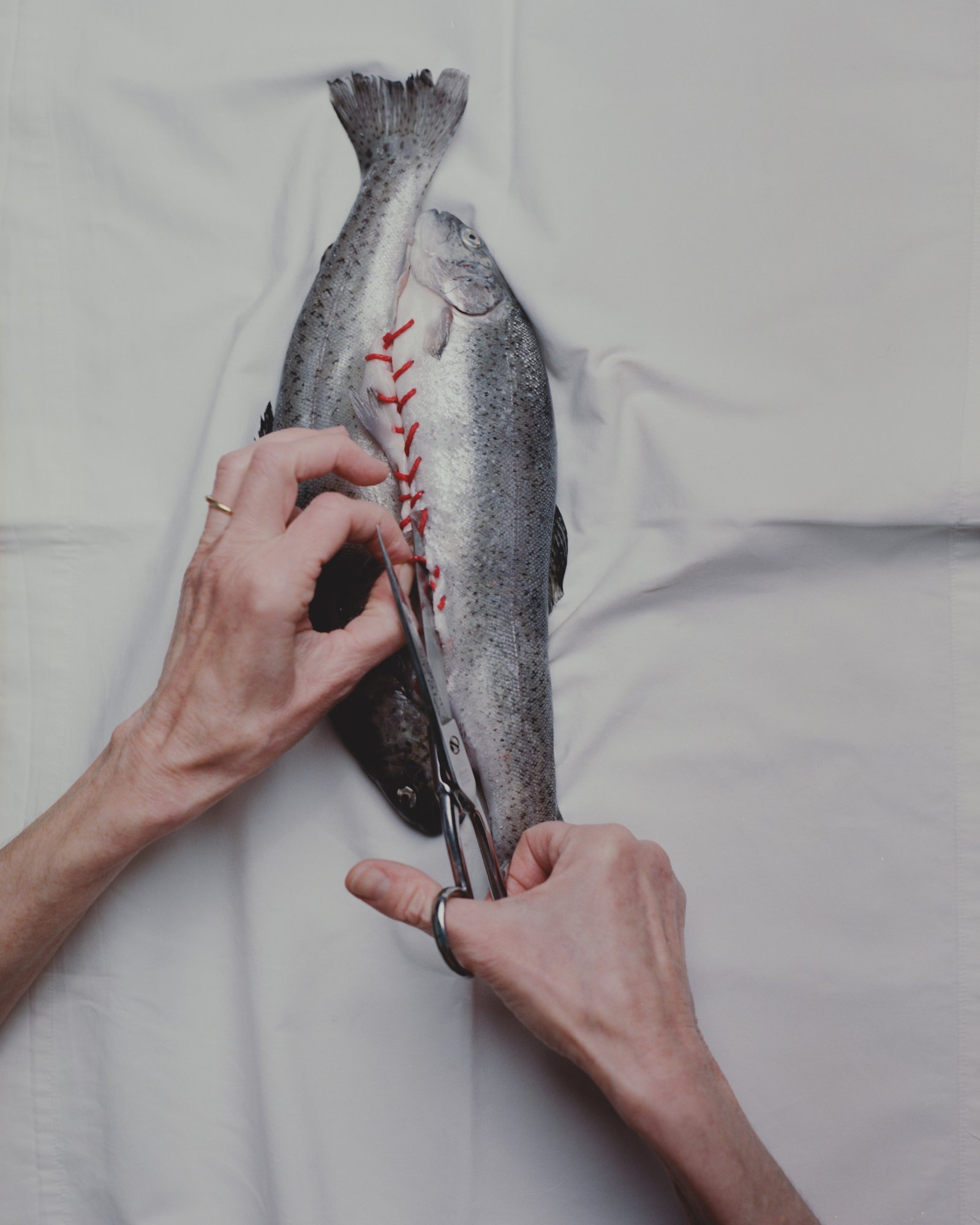 Fine Art Photography