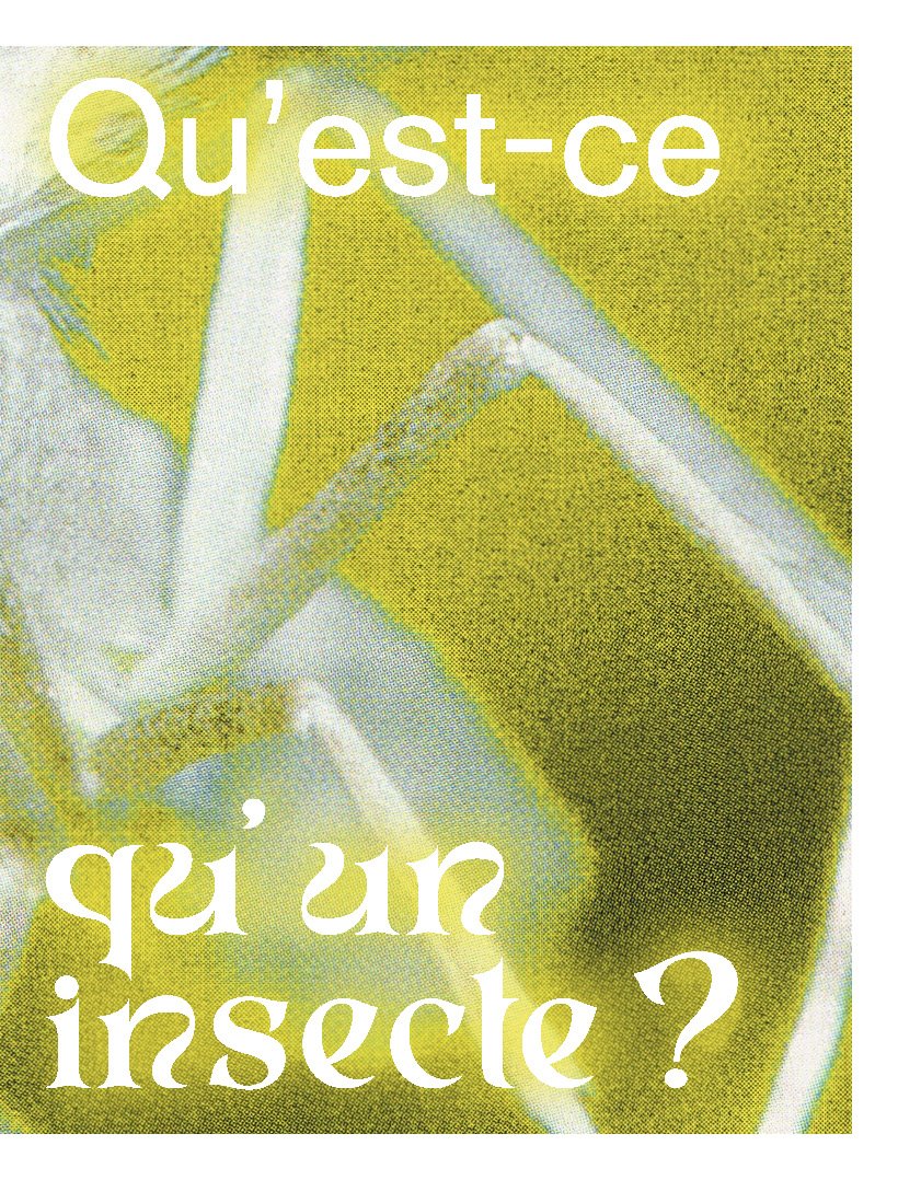 aline_savioz_Page_01.jpg